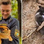Tierische Einsätze  für Polizei und Feuerwehr