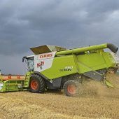 Bauern im Wettlauf mit dem Regen