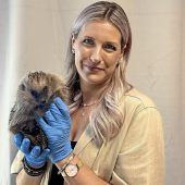 Die Retterin der Igelbabys