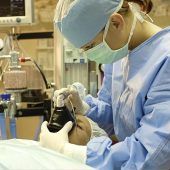 Lockversuche in der Pflege