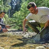 Das geheime Paradies der Flusskrebse