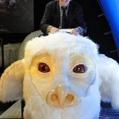 Filmreifer Deal: Netflix steigt bei Bavaria ein