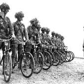 Paralleluniversum in Oliv