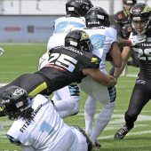 Playoff für die Ravens