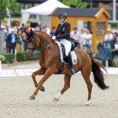 Dressur-Equipe auf Kurs EM-Gold
