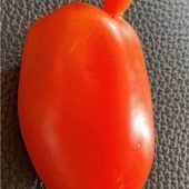 Tomate à la Max und Moritz