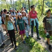 Auf den Spuren des Bibers