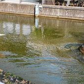 Prüfender Blick aufs Pumpenhaus