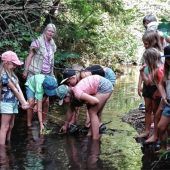 Bachsafari mit kleinen Entdeckungen