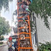 75 Kinder beim Baumkraxeln