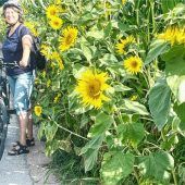 Ein Leckerbissen für die Bienen