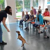 Gemeinsamer Besuch im Tierheim begeistert die Kinder