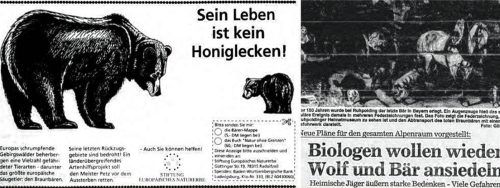 Anzeige für den Schutz des Bären durch die Stiftung Europäisches Naturerbe (links) in der Ausgabe des Oberbayerischen Volksblatts (OVB) vom 21. November 1995. Rechts: Der Bericht über Bären-Ansiedlungspläne aus dem OVB vom 8. April 1992.Foto OVB Media Grafik / Stiftung Europäisches Naturerbe