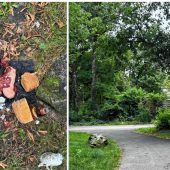 Innereien und rohe Fleischstücke: Ekel-Fund mitten in Rosenheim