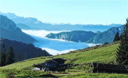Auf der Haaralm am Südhang des Haaralmkopfes auf einer Höhe zwischen 1260 und 1590 Metern ist die Mittagsrast der Hauptalmbegehung geplant. Giesen