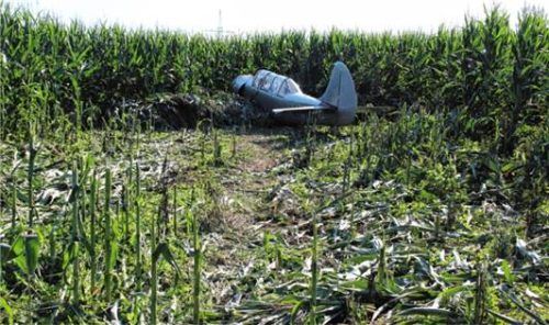 Aufgewühlte Erde und zerfetzte Maiskolben: Das Kleinflugzeug, das in Griesstätt notlanden musste, hinterließ eine Schneise der Verwüstung. Foto Albersinger