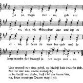 „Ja ja, wegn meiner, geh nur eina …“