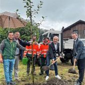 Auf die Tanne folgt ein Apfelbaum