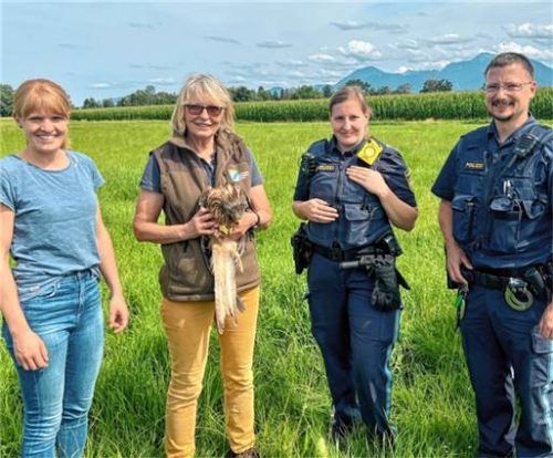 Bei dem schönen Moment der Auswilderung waren auch die Retter der Polizei gerne anwesend. Den Rotmilan ließen (von links) Tierärztin Stefanie Pfohl, Falknerin Katharina Weinberger, Polizeiobermeisterin Maierhofer und Polizeioberkommissar Elsbett, beide von der Inspektion Prien, fliegen. Foto Wasserschutzpolizei Prien