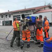 Gegen Milliarden Stechmücken