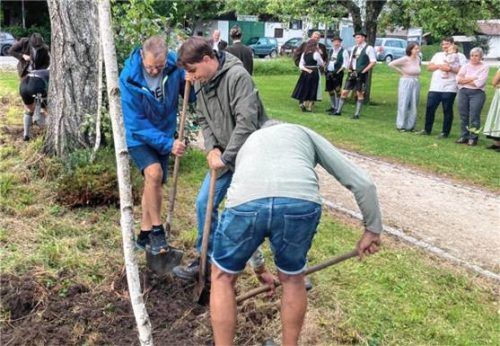 Die Birkenallee von der Hauptstraße zur Katharinenkapelle bekam Zuwachs. Foto sedlbauer