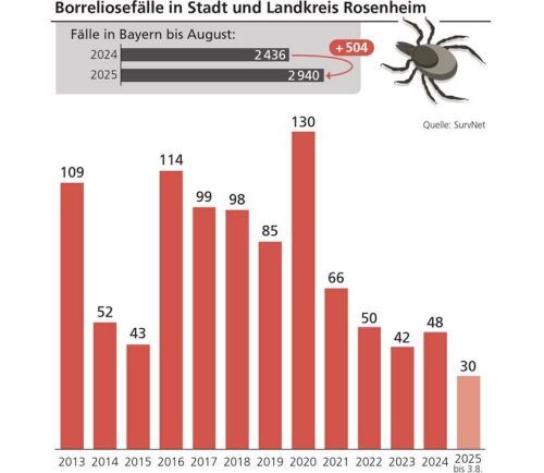 Die Entwicklung der Erkrankungsfälle in der Region Rosenheim zeigt nach einem Rekord im Jahr 2020 einen eher gleichbleibenden Verlauf der Infektionszahlen. Klinger