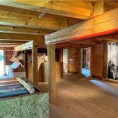 „Glück im Stall“ im Freilichtmuseum Amerang