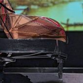 Letzte Blüte der Schönheit