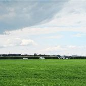 Lebendige Gemeinschaft