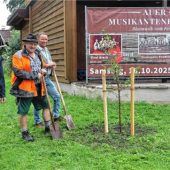 Zwetschgenbaum wächst mit Musik