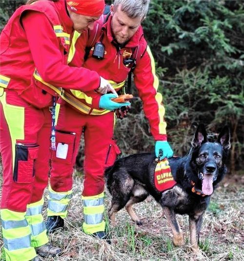 Ein Flächensuchteam der Rettungshundestaffel Bad Aibling im Einsatz.