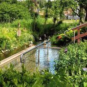 Sommerfreuden in Rechtmehring