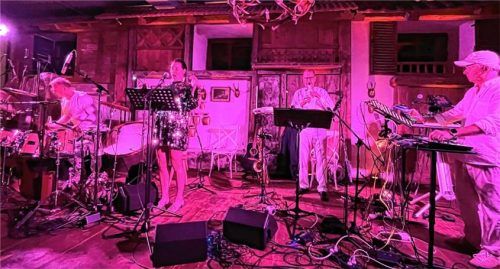 Experimentelle Musik in violettem Licht vor rustikaler Kulisse: (von links) Wolfgang Lohmeier, Mariana Pedrozo, Reinhart Knirsch und Ortholf von Crailsheim.Foto Pillatzki