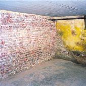 Schluss mit Schimmel