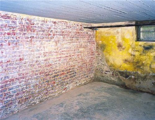 Feuchtigkeitsschäden etwa im Keller können zu einem Schimmelbefall führen. Foto djd/Saint-Gobain Weber