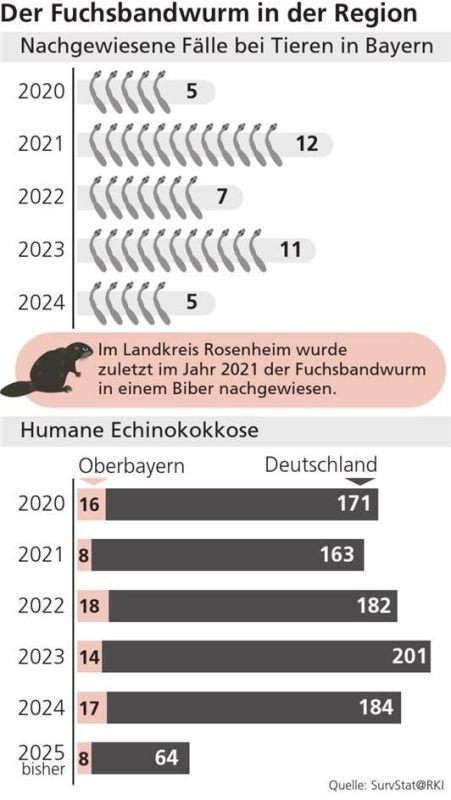 Fuchsbandwurm-Nachweise in Zahlen. Klinger