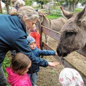 Erziehung mit Natur und Tieren