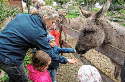 Im Bauernhofkindergarten Lindenbaum lernen die Kinder den Umgang mit Natur und Tieren. Fotos Neuwirth