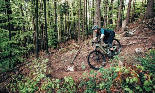 Im Frühjahr soll der neue Trail am Haindorfer Berg in Aschau fertig sein. Er führt über fast zwei Kilometer und 250 Höhenmeter hinab ins Tal. Foto Christoph Bayer