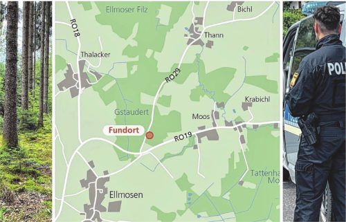 Im Thanner Wald wurden am 15. Juni die sterblichen Überreste von Eman E. (†34) gefunden. Seitdem sucht die Polizei intensiv nach Spuren, um den Täter zu überführen. Foto Gerlach/Grafik Klinger