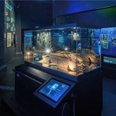 Kurs nehmen auf die dritte Folge des OVB-Preisrätsels