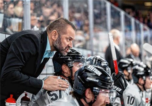 Job und Leidenschaft: Manuel Kofler als Co-Trainer der Kölner Haie während einer DEL-Begegnung.Foto Imago