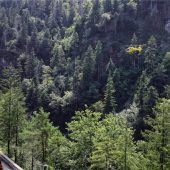 Spektakuläre Rettung aus der Weißbachschlucht