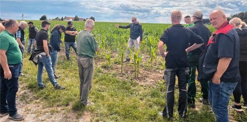 Neben Mais standen beim Ökofeldtag auch Weizen und Klee im Mittelpunkt. Foto re