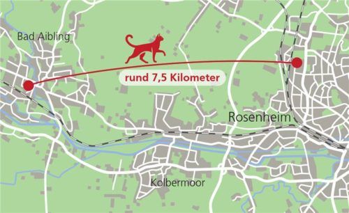 „Resi“ muss irgendwie von Bad Aibling in den Rosenheimer Norden gekommen sein.

Klinger