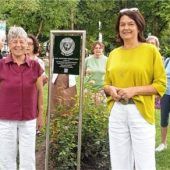 Rosen zum 650. Stadtjubiläum