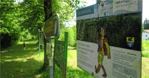 Spielerisch können sich in der Aubenhamer Tertiärwelt kleine und große Entdecker auf „Die Suche nach dem verschollenen Ur-Nashorn“ begeben. Foto Gillhuber