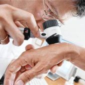 In vielen Bereichen ist große Geduld gefragt