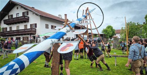 Starke Gemeinde: Beim Maibaumaufstellen in Kolbing halfen alle zusammen.

Fotos Rieger