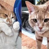 Nachholbedarf an Aufmerksamkeit